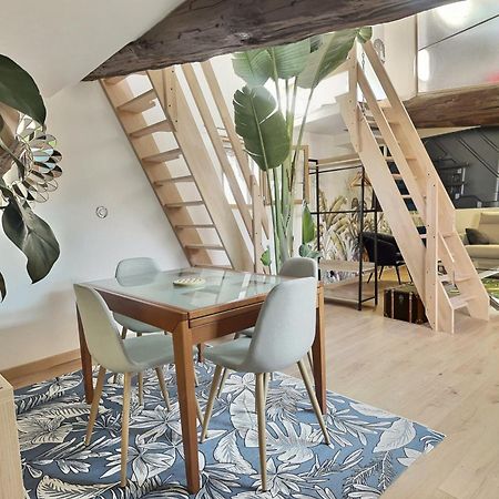 Jungle Loft Beziers Centre Διαμέρισμα Εξωτερικό φωτογραφία