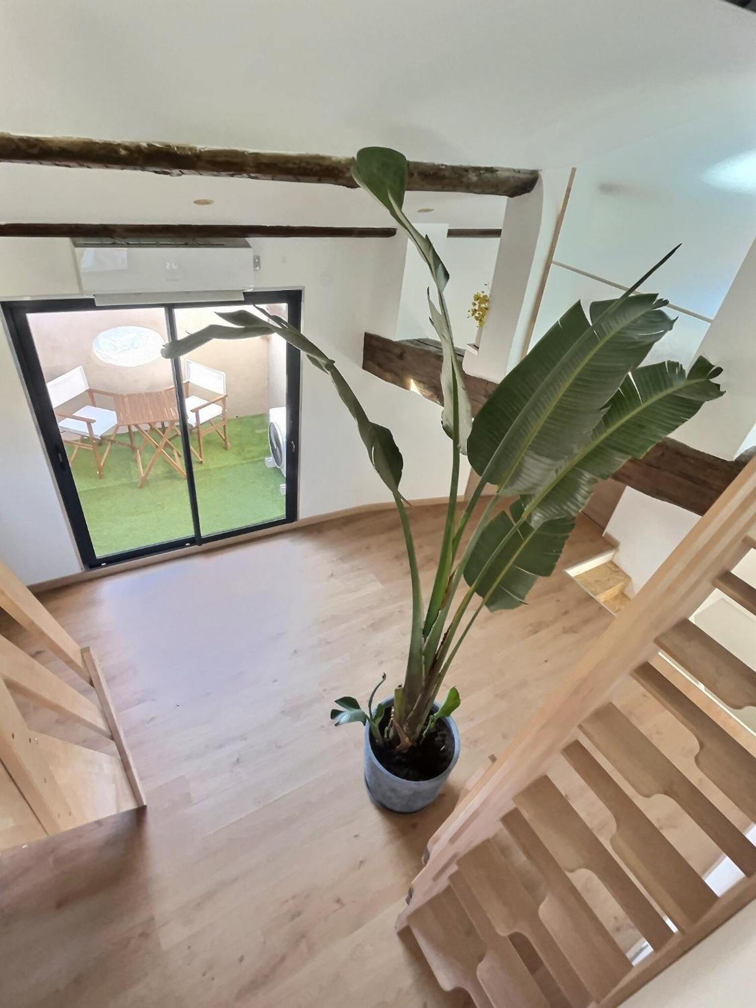 Jungle Loft Beziers Centre Διαμέρισμα Εξωτερικό φωτογραφία